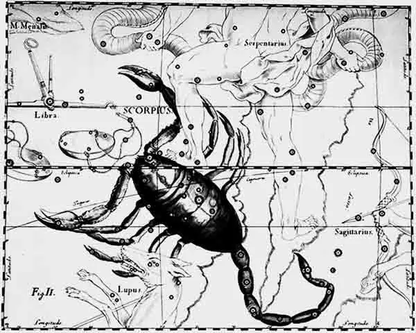 Stjärnbilden Skorpionen. Från Hevelius, Firmamentum, 1690.